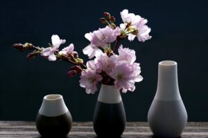 1. 九州の春の桜名所はどこですか？