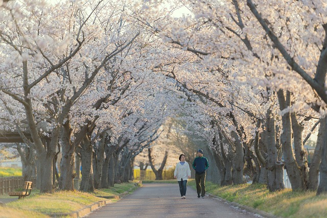 1. 九州の湯布院は春桜が美しい？