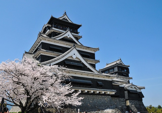 1. 九州の春に唐津城で花見するポイントは？