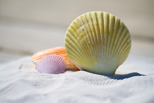 1. 九州の夏は指宿の「砂むし」がおすすめ？何が違うの？効果は？