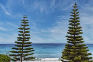 1. 九州の夏は砂むしで涼める？指宿の魅力を徹底解剖！