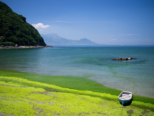 1. 九州の夏、雨の日でも楽しめる屋内観光スポットはどこ？