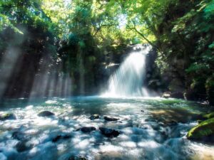 以下は、キーワード「九州 夏 黒川 温泉川遊び 体験」を使用したQ&Aタイトルのアイデアです。