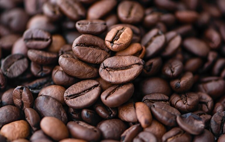 湯布院で楽しむ隠れ家的カフェの魅力とは？