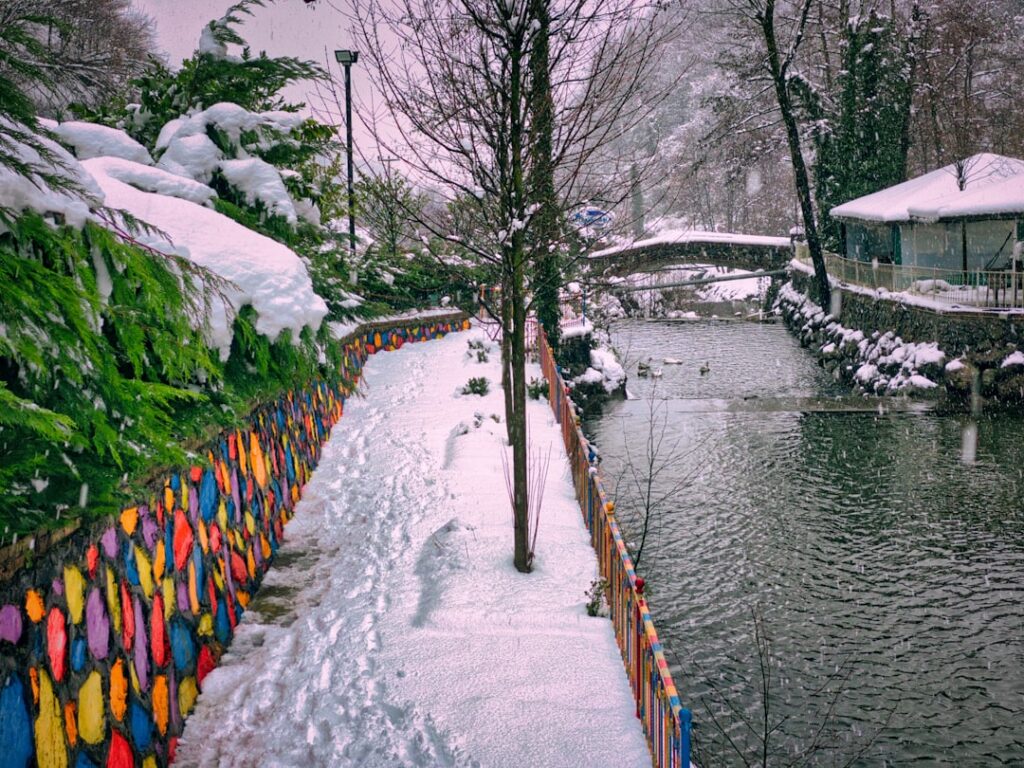 冬の大分温泉旅行ガイド