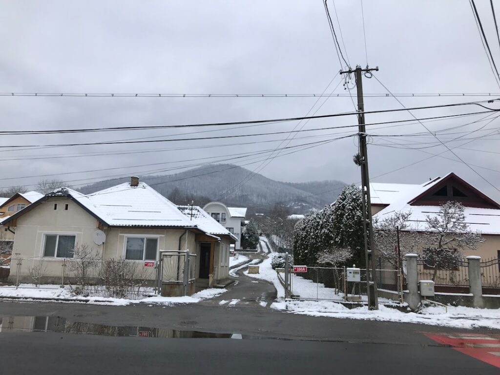 冬の大分旅ガイド｜季節の見どころと1泊2日モデルコース