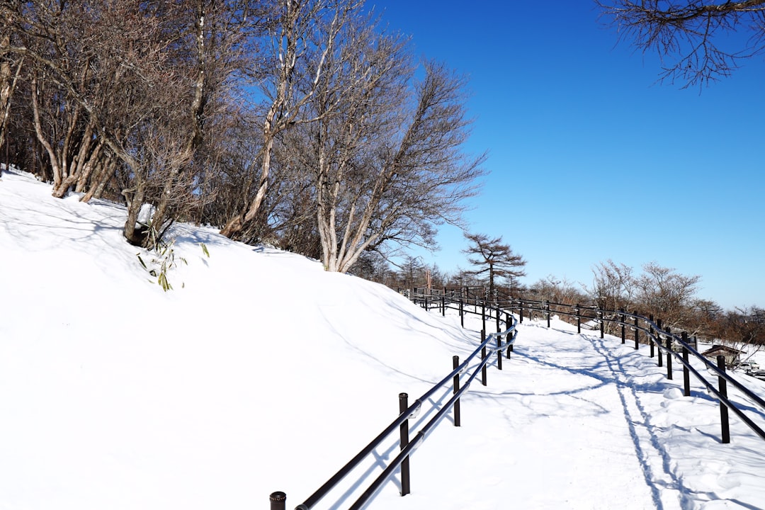 3. 湯布院フラワー公園