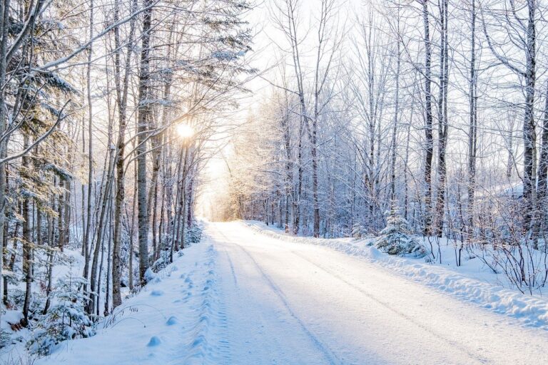 九州の冬に楽しむ黒川温泉の露天風呂と雪景色はどんなもの？
