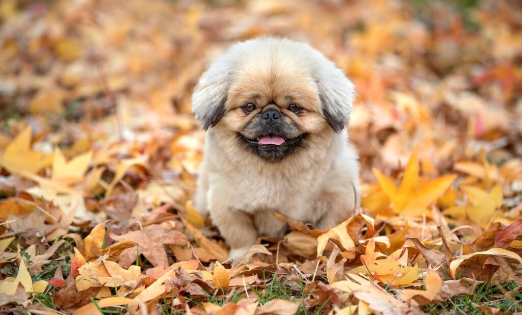 九州の夏におすすめのドライブコースは？