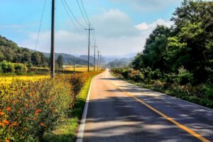 九州子連れ旅行で楽しめるおすすめの観光スポットは？