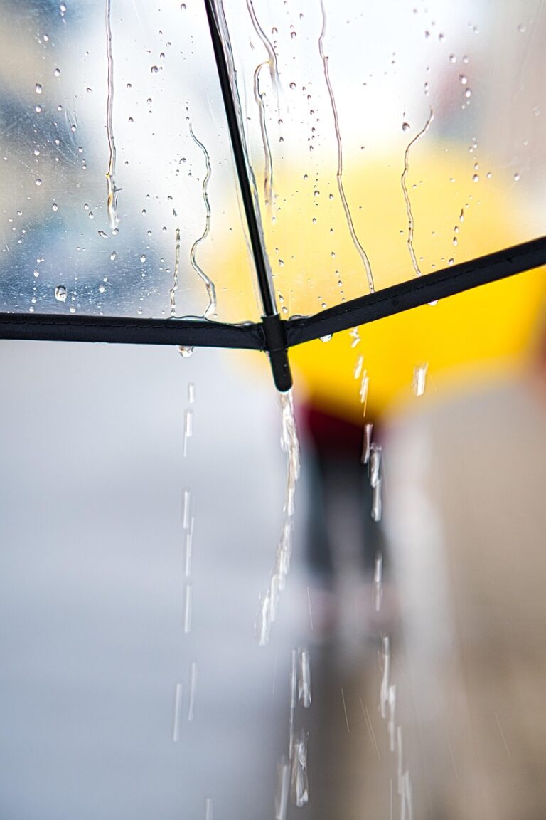 雨の日に大人が楽しめる九州の遊びは？