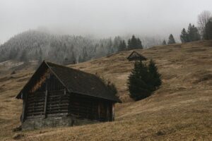 九州の牡蠣小屋で絶対行くべきおすすめスポットは？