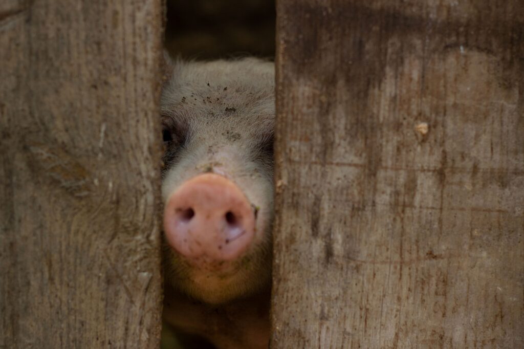 九州年末年始に訪れるべきおすすめスポットは？