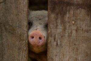 九州年末年始に訪れるべきおすすめスポットは？