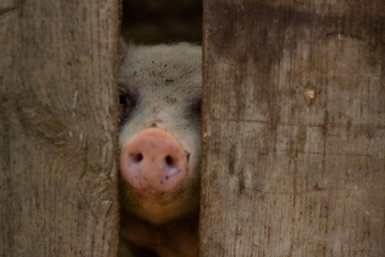 九州年末年始に訪れるべきおすすめスポットは？