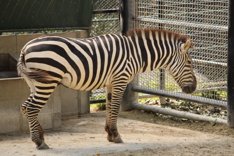 福岡の秋に訪れたいススキのおすすめスポットは？