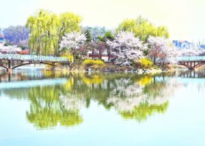 黒川温泉で春に訪れるべきおすすめスポットは？