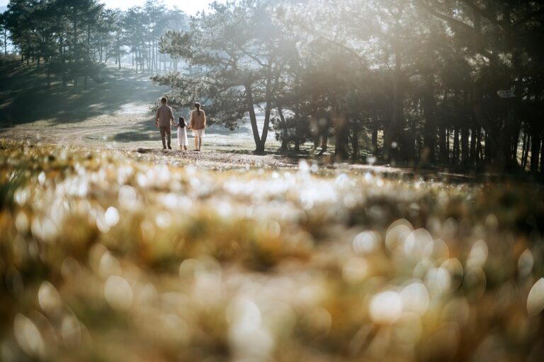 九州での夏休みを楽しむための家族旅行のおすすめプランは？