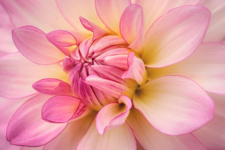 夏の九州で訪れるべき見どころのおすすめは？