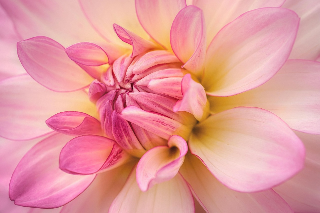 夏の九州で訪れるべき見どころのおすすめは？