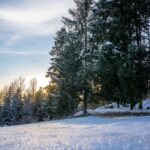 九州の冬に最適な服装は何ですか？