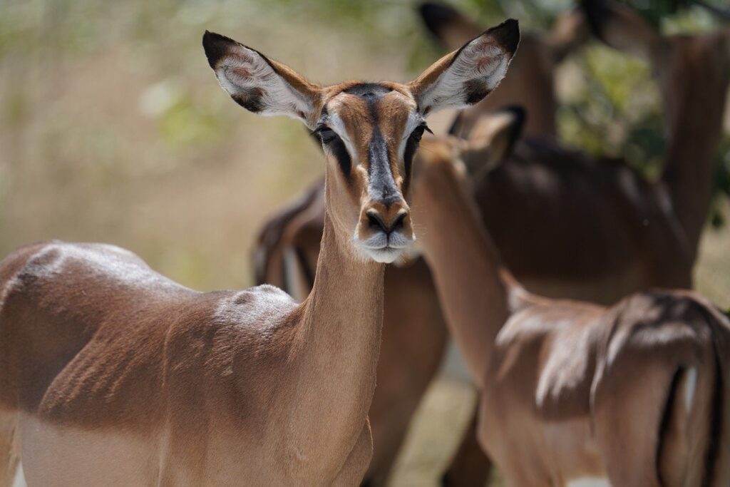 九州の観光地を春夏秋冬で楽しむための高速利用まとめは？
