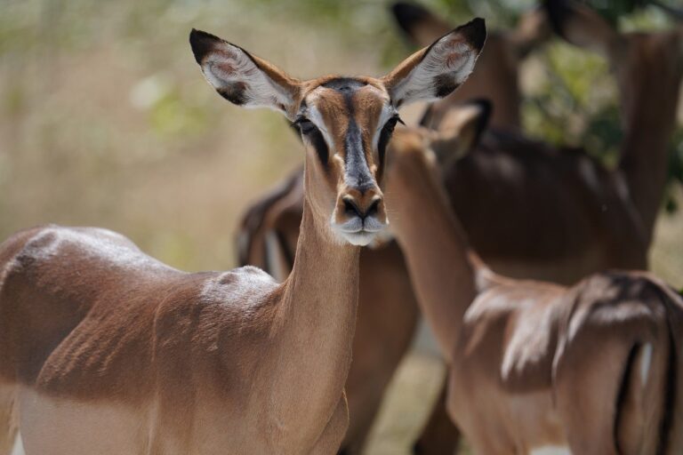 九州の観光地を春夏秋冬で楽しむための高速利用まとめは？