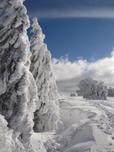 冬の九州で訪れたい太宰府の絶景スポットは？