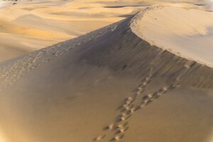 秋におすすめの九州雲仙温泉旅行の魅力とは？