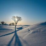 九州の冬におすすめの三世代旅行プランは？