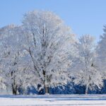 九州の冬に家族旅行で訪れるべきおすすめスポットは？