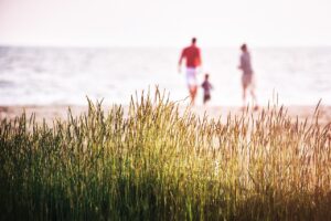 九州の夏に家族旅行するなら、どこがおすすめ？