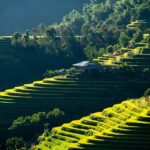 九州の夏に行くべき高原観光おすすめスポットはどこ？