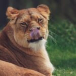 九州の年末年始におすすめのイベントは？