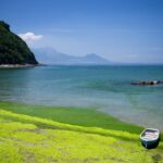 九州の観光地で春夏秋冬楽しめるもつ鍋のまとめは？