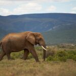 九州の観光地を春夏秋冬で楽しむ民宿まとめは？