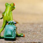 九州旅行で子連れの際に気をつけるべき注意点は？