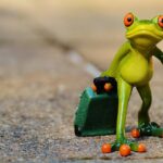 九州旅行で楽しむ食べ歩きルートは？