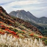 九州阿蘇で子連れに最適な観光スポットは？