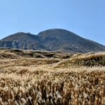 九州阿蘇で車なしでも楽しめる観光スポットは？