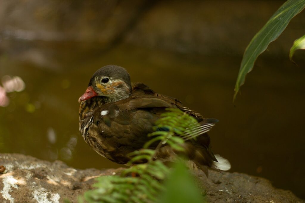 年末年始に行く九州旅行のおすすめスポットは？