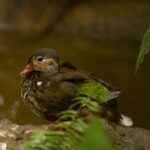 年末年始に行く九州旅行のおすすめスポットは？