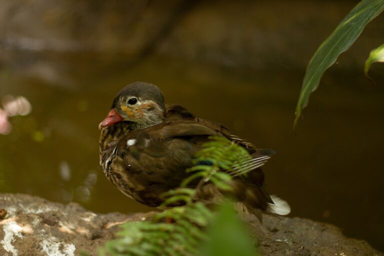 年末年始に行く九州旅行のおすすめスポットは？