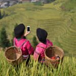 浜野浦の棚田で春の夕日を楽しむベストスポットは？