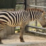 福岡で春に楽しめる温泉の日帰りスポットは？