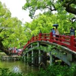 福岡の桜名所で知っておくべき穴場スポットは？