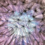 長崎で春におすすめのドライブコースは？