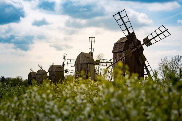 鹿児島の指宿で春におすすめの旅行プランは？