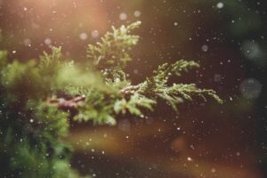 九州で冬のクリスマスデートを楽しむためのおすすめスポットはどこ？