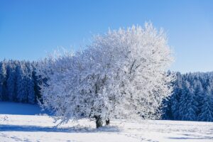 九州の冬におすすめの1泊2日旅行プランは？